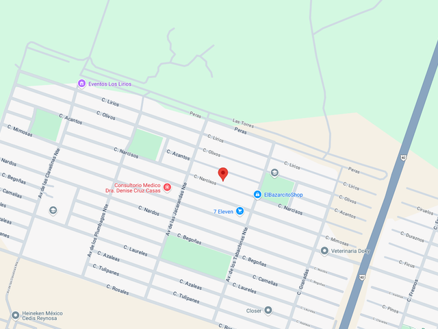 place photo 7