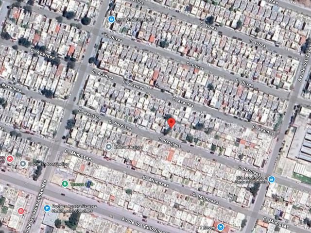 place photo 9
