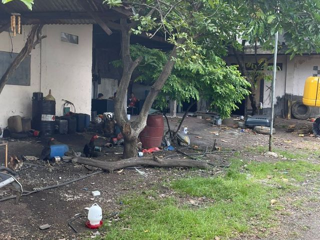 place photo 6