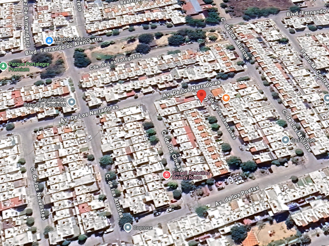 place photo 15