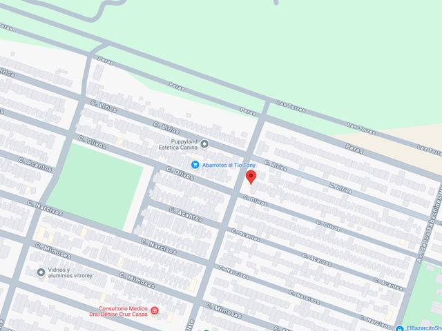 place photo 11