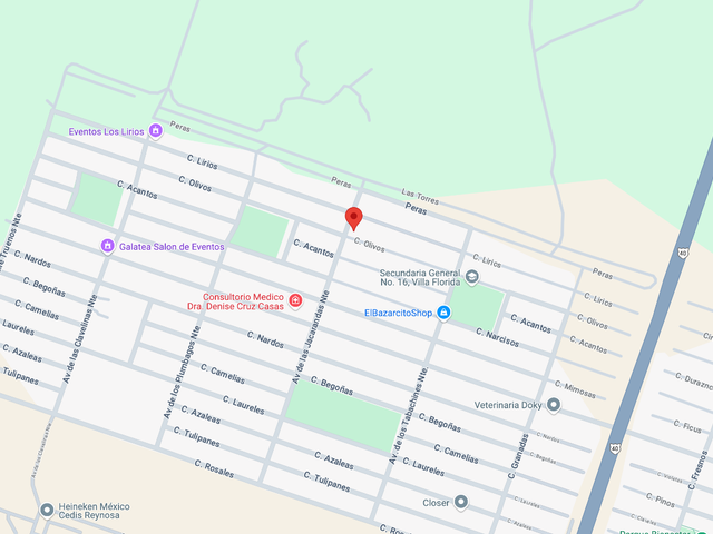 place photo 12
