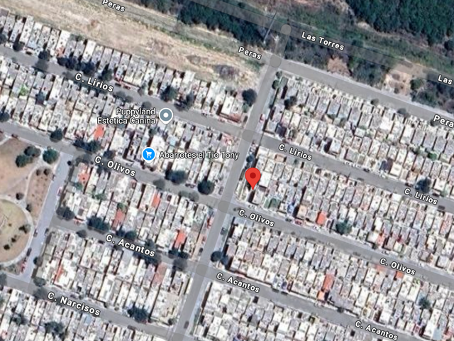 place photo 13