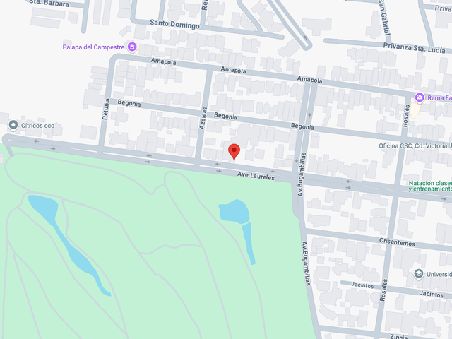 place photo 10