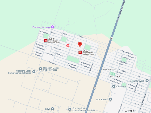 place photo 10