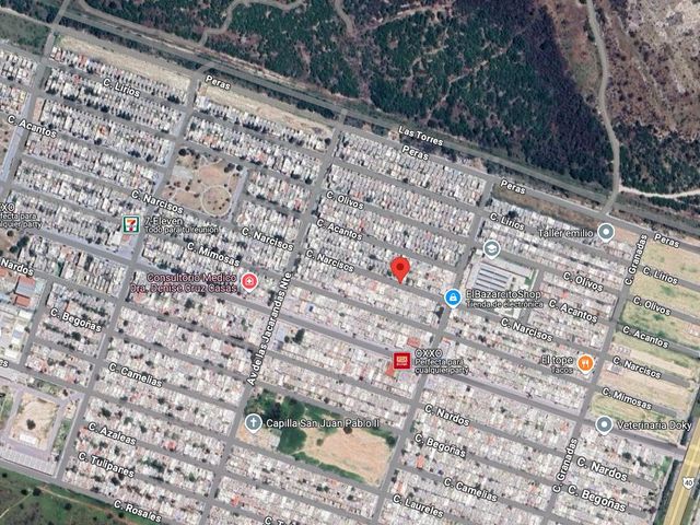 place photo 12