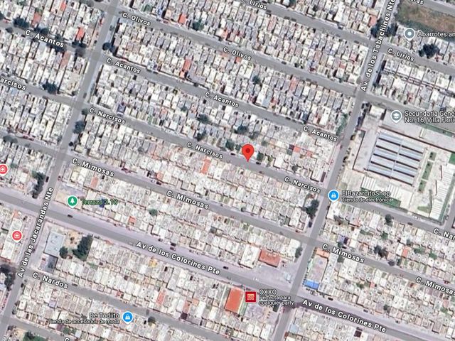 place photo 13