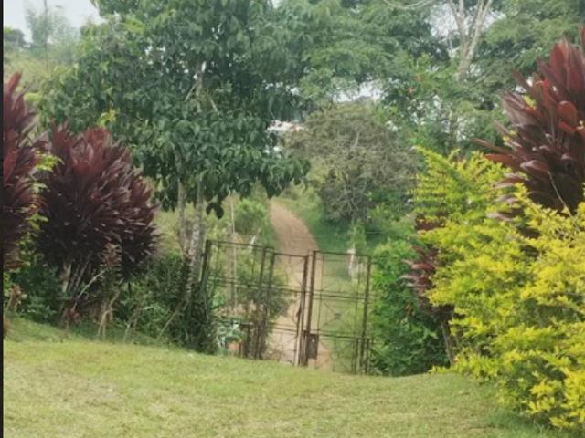 place photo 36