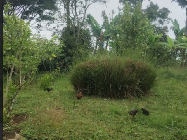 place photo 35
