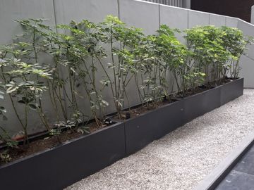 place photo 15