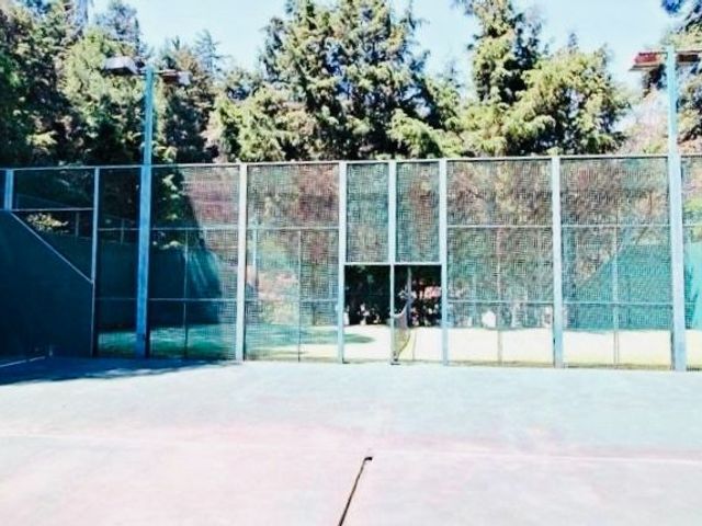 place photo 14