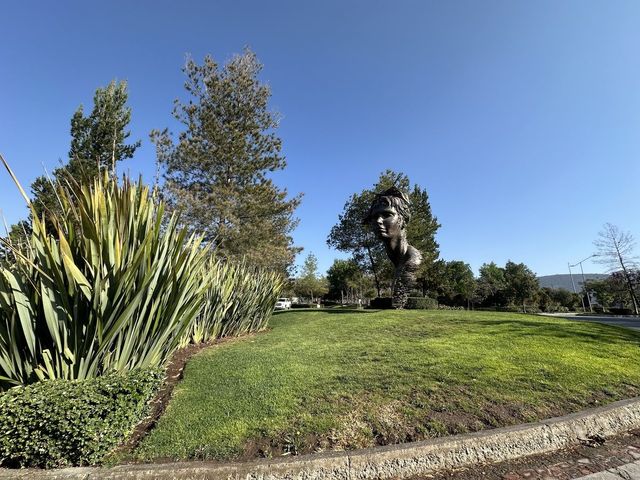 place photo 32