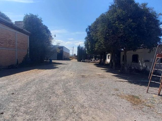 place photo 22