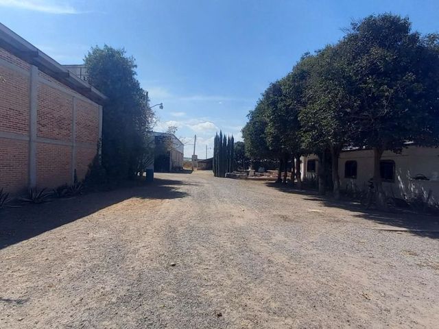 place photo 28