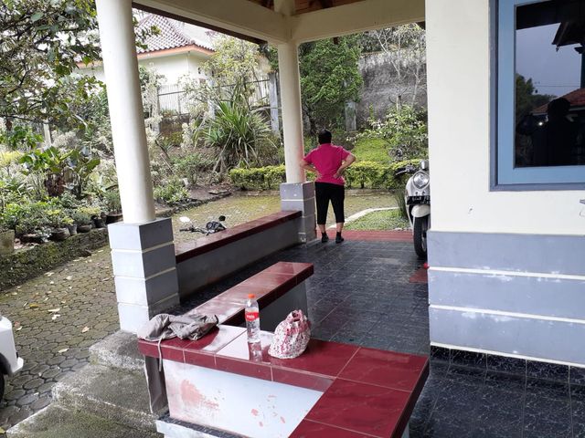 place photo 22