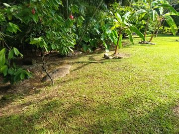 place photo 23
