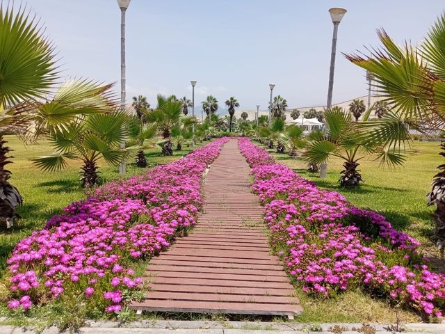 place photo 30