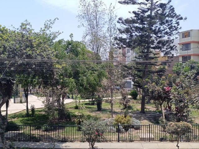 place photo 38