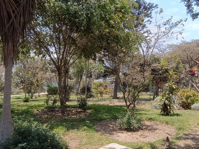 place photo 43