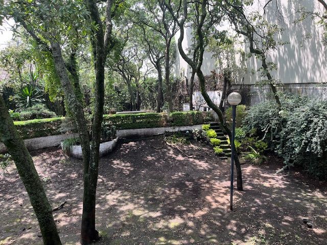 place photo 43