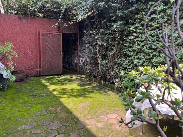 place photo 48