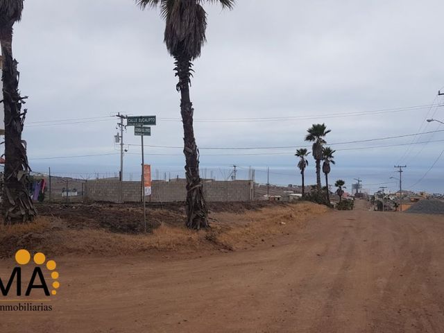 place photo 12
