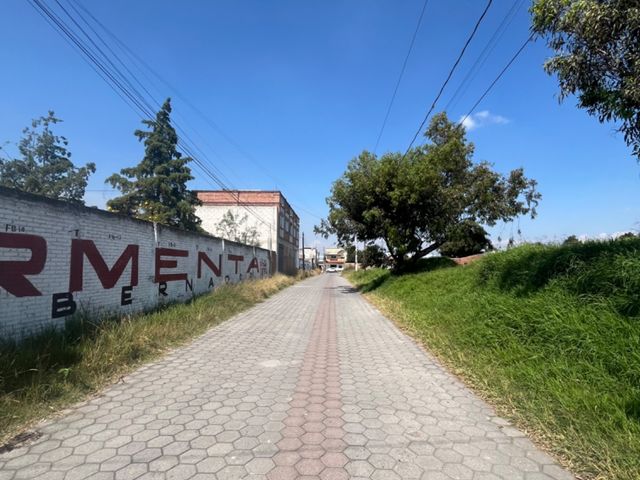 place photo 18
