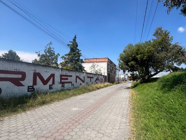 place photo 20