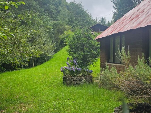 place photo 83
