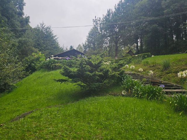 place photo 84
