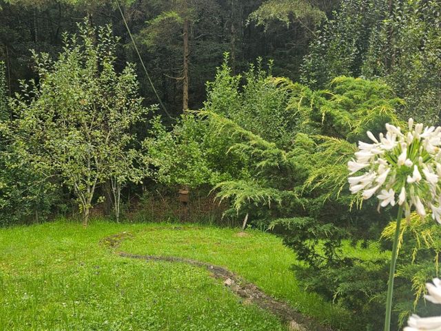 place photo 86