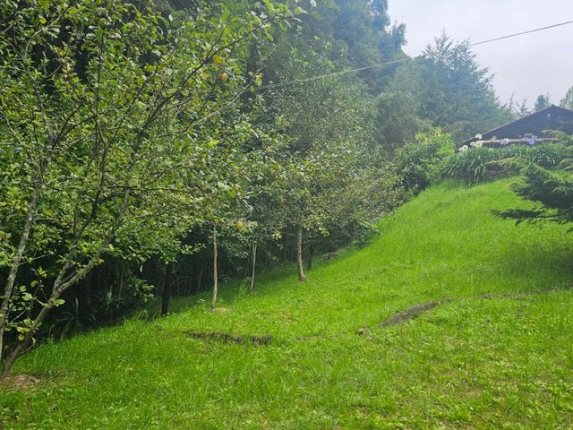 place photo 93