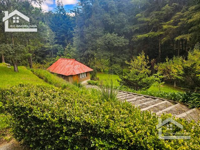 place photo 65