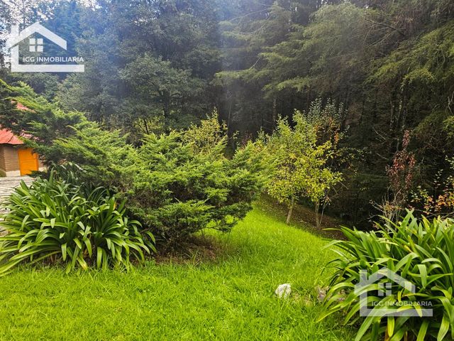 place photo 66