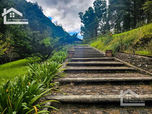 place photo 72