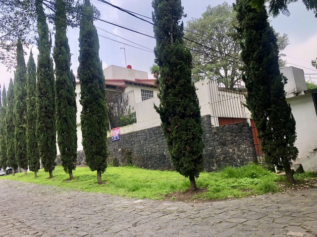 place photo 42