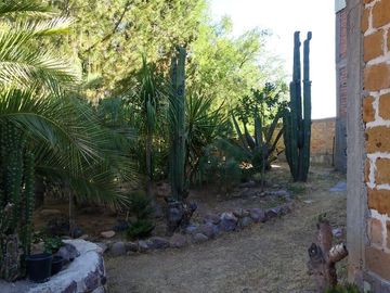 place photo 21