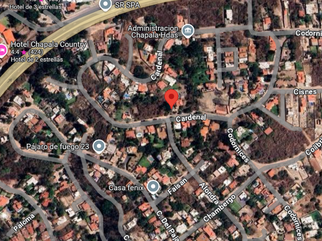 place photo 7