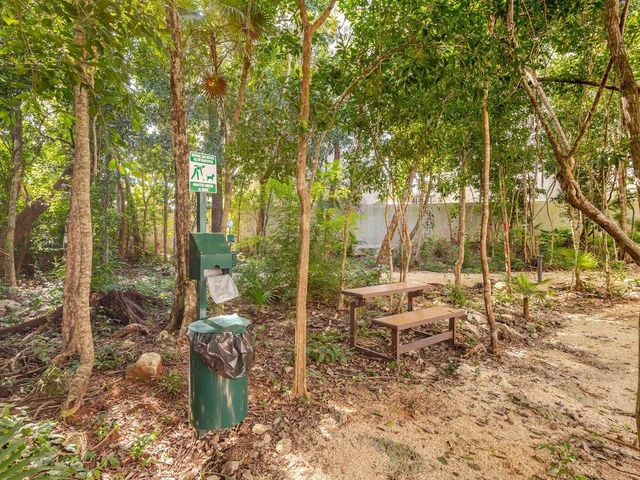place photo 62