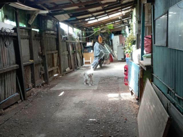 place photo 20