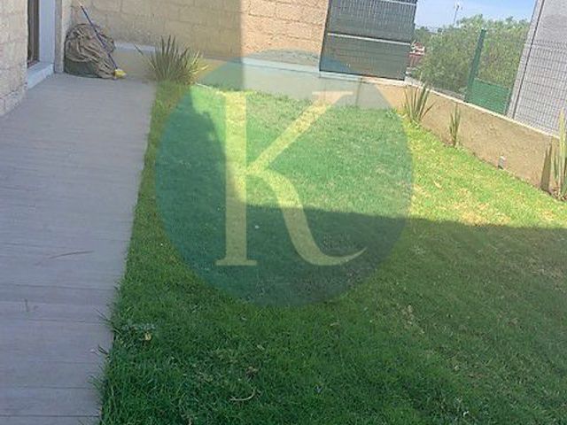 place photo 36