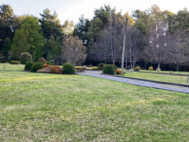 place photo 21