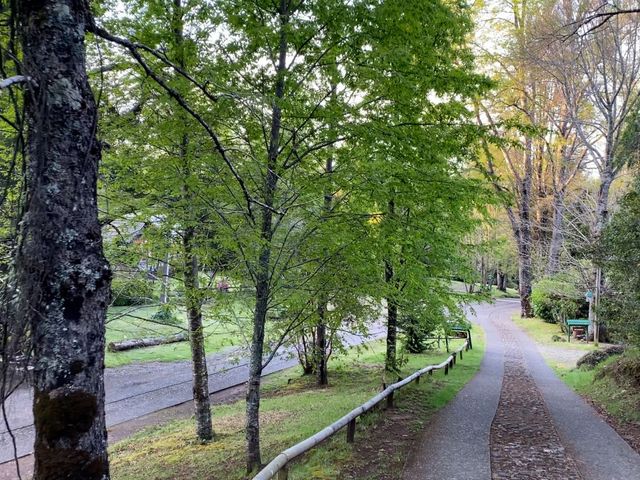place photo 35