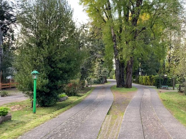 place photo 39
