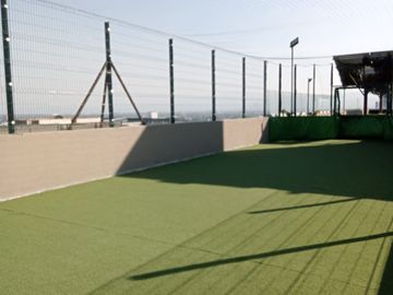 place photo 17