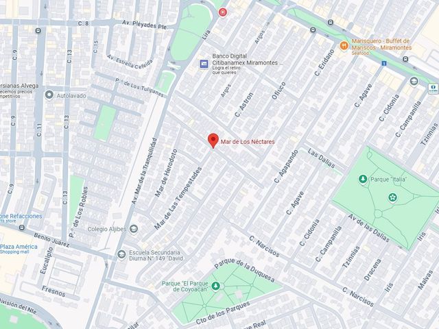 place photo 10
