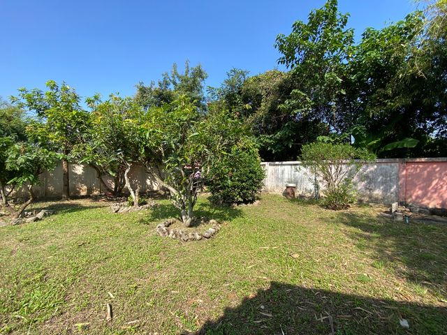 place photo 46