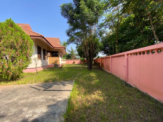 place photo 58