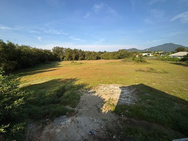 place photo 36