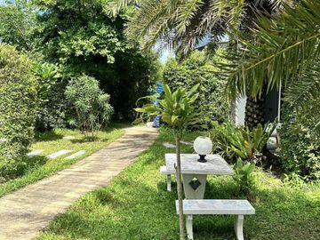 place photo 61